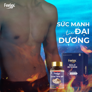 Combo Kho Báu Đại Dương