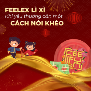 Bao Cao Su Lì Xì Feelex